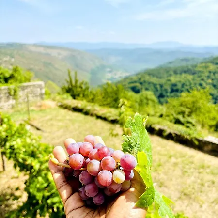 Rustic With Breathtaking Views Oprtalj