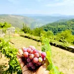 Rustic With Breathtaking Views Oprtalj