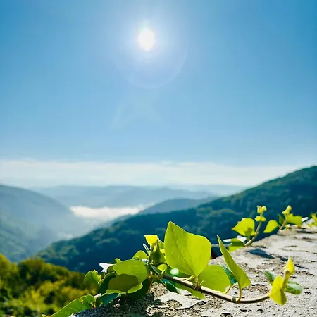 Rustic With Breathtaking Views ヴィラ