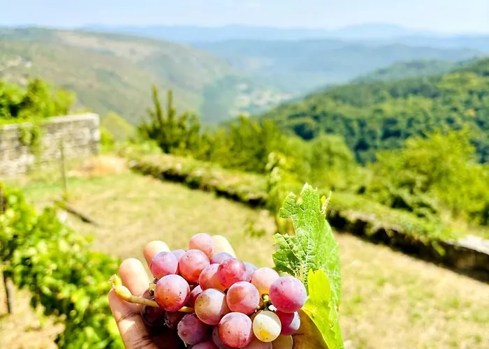 Rustic With Breathtaking Views Oprtalj